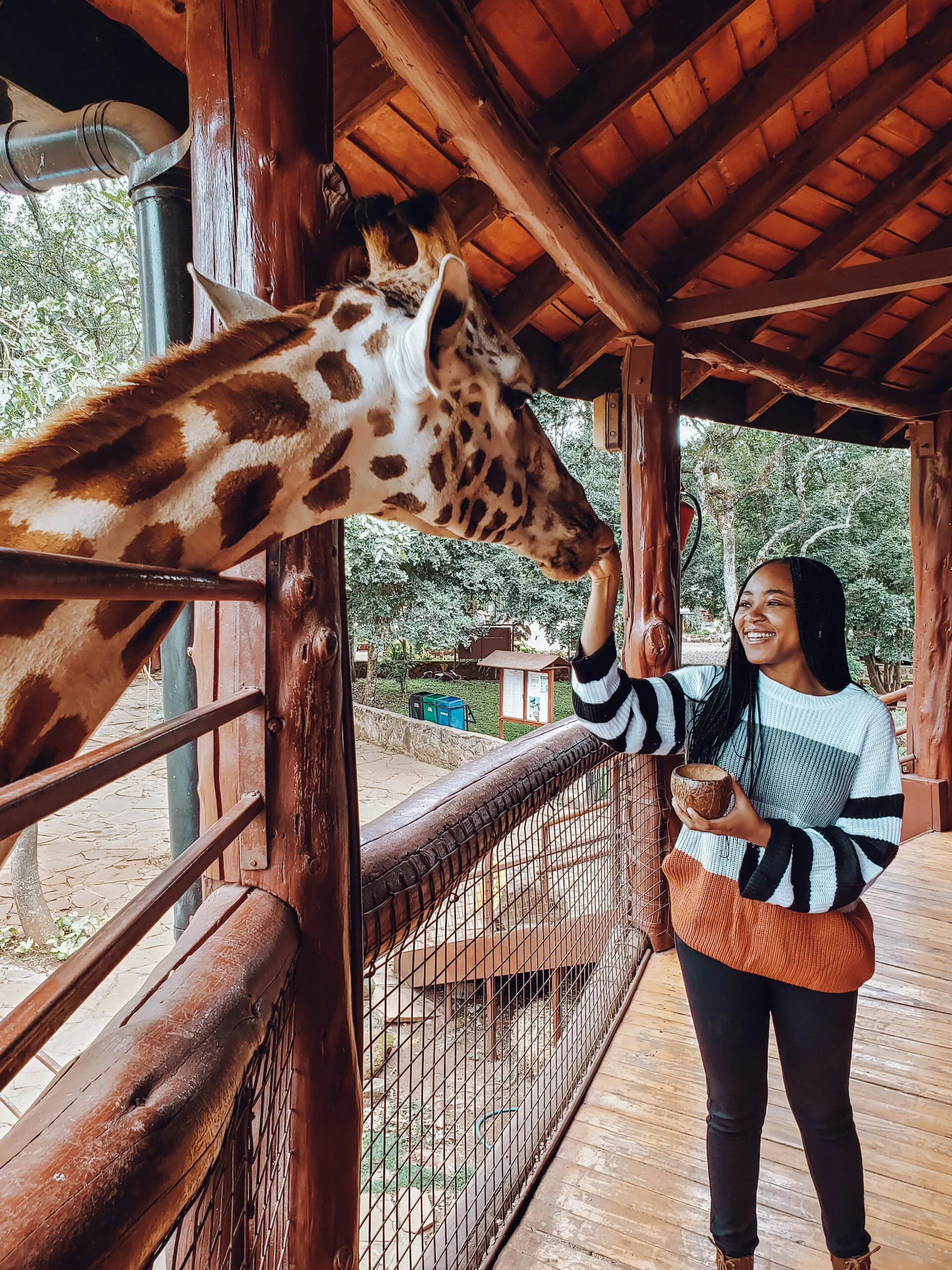 Giraffe Center