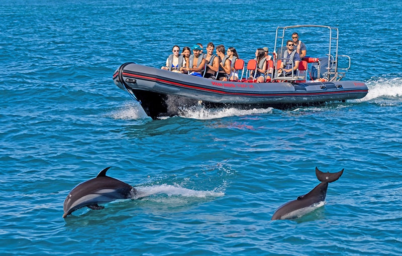 Marine Park