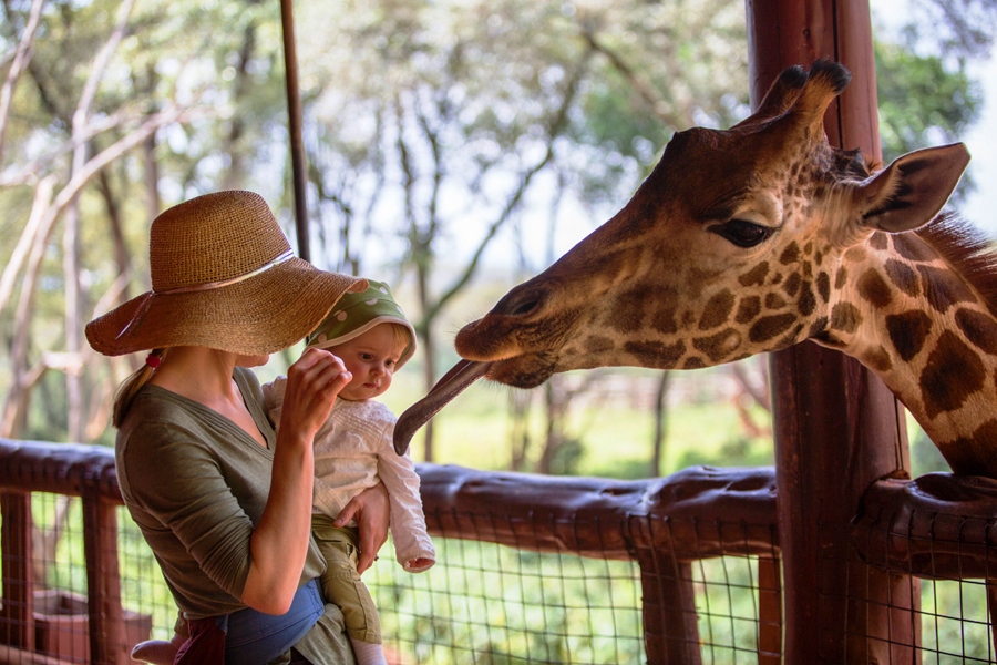 Nairobi National Park