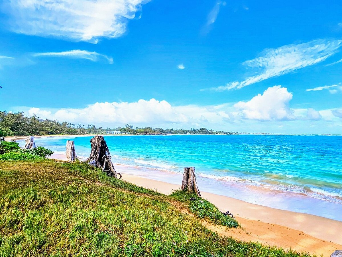 Malindi Golden Soil