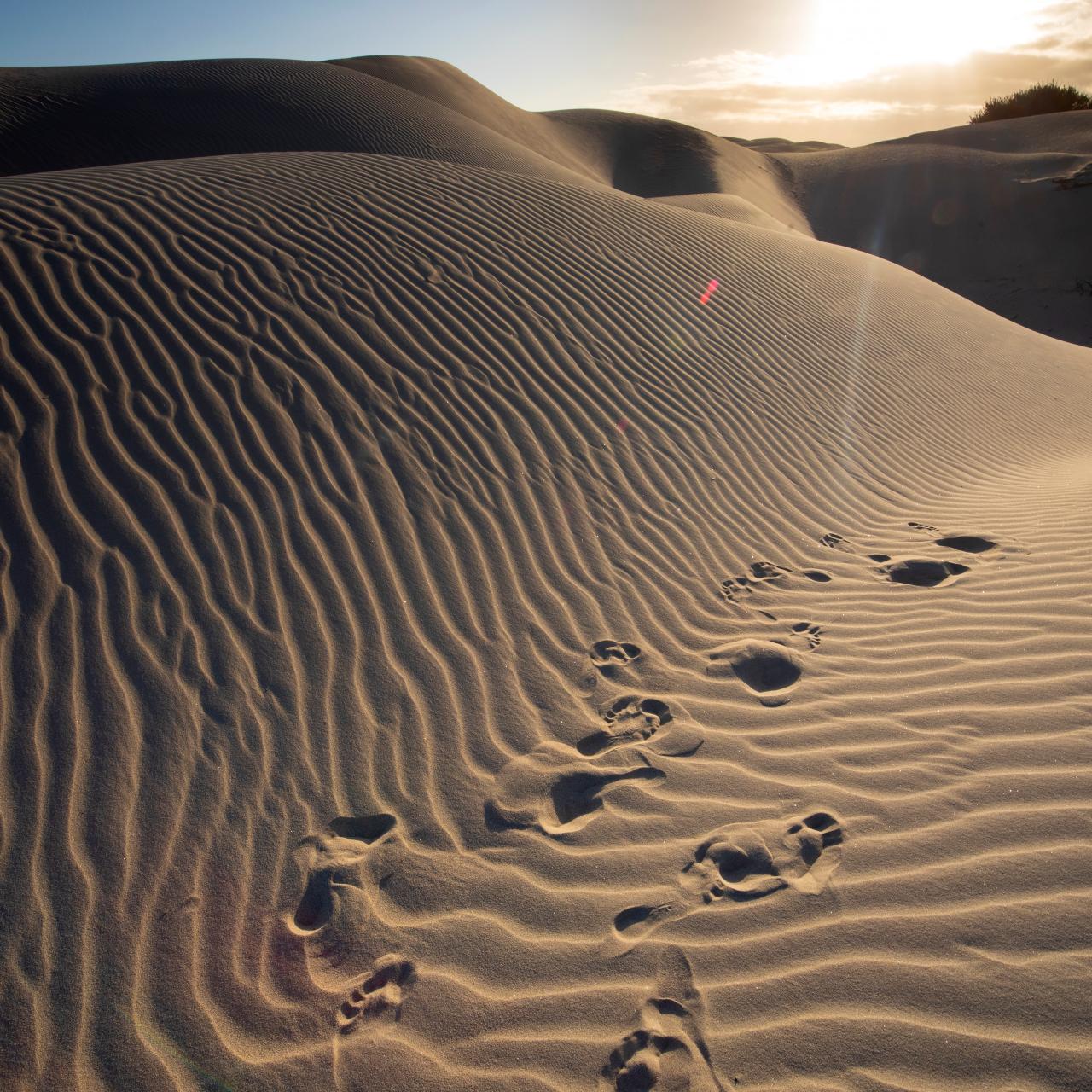Sand Dunes